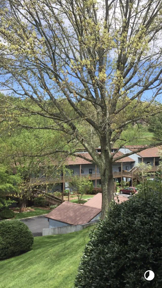 87 Willow Rd B-2