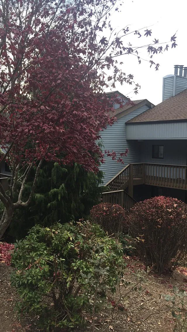 87 Willow Rd B-35