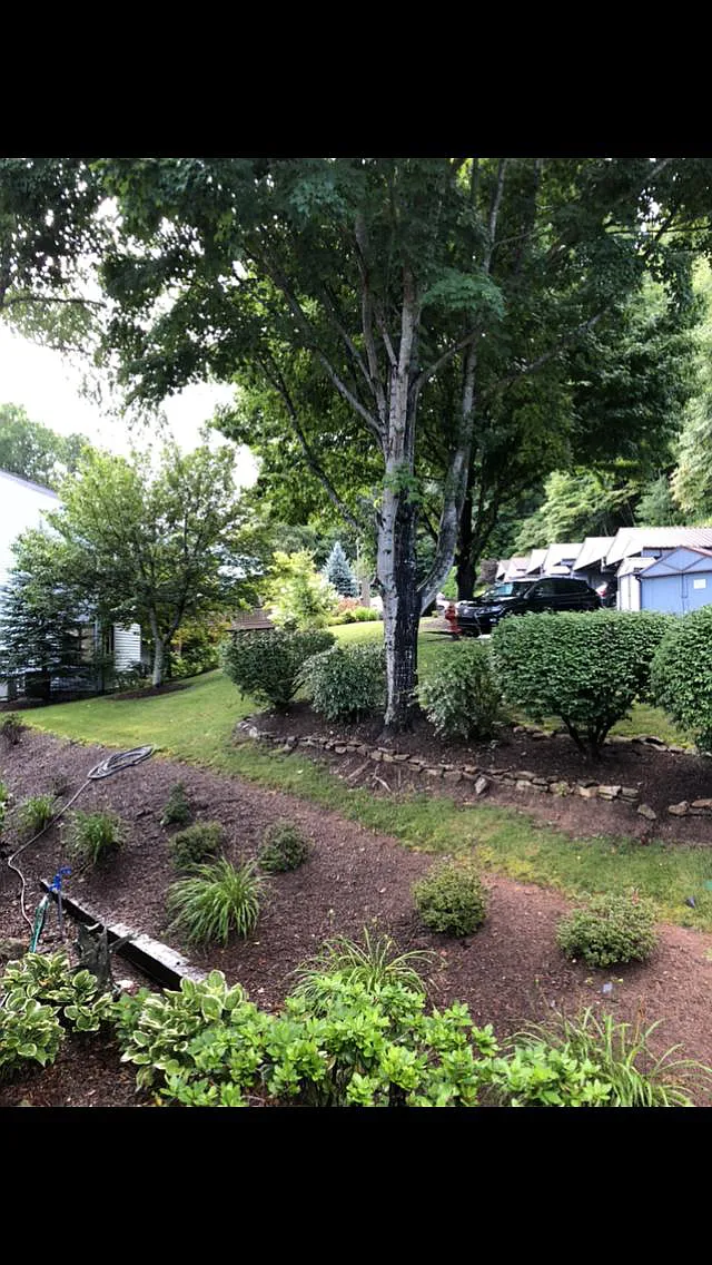 87 Willow Rd B-4