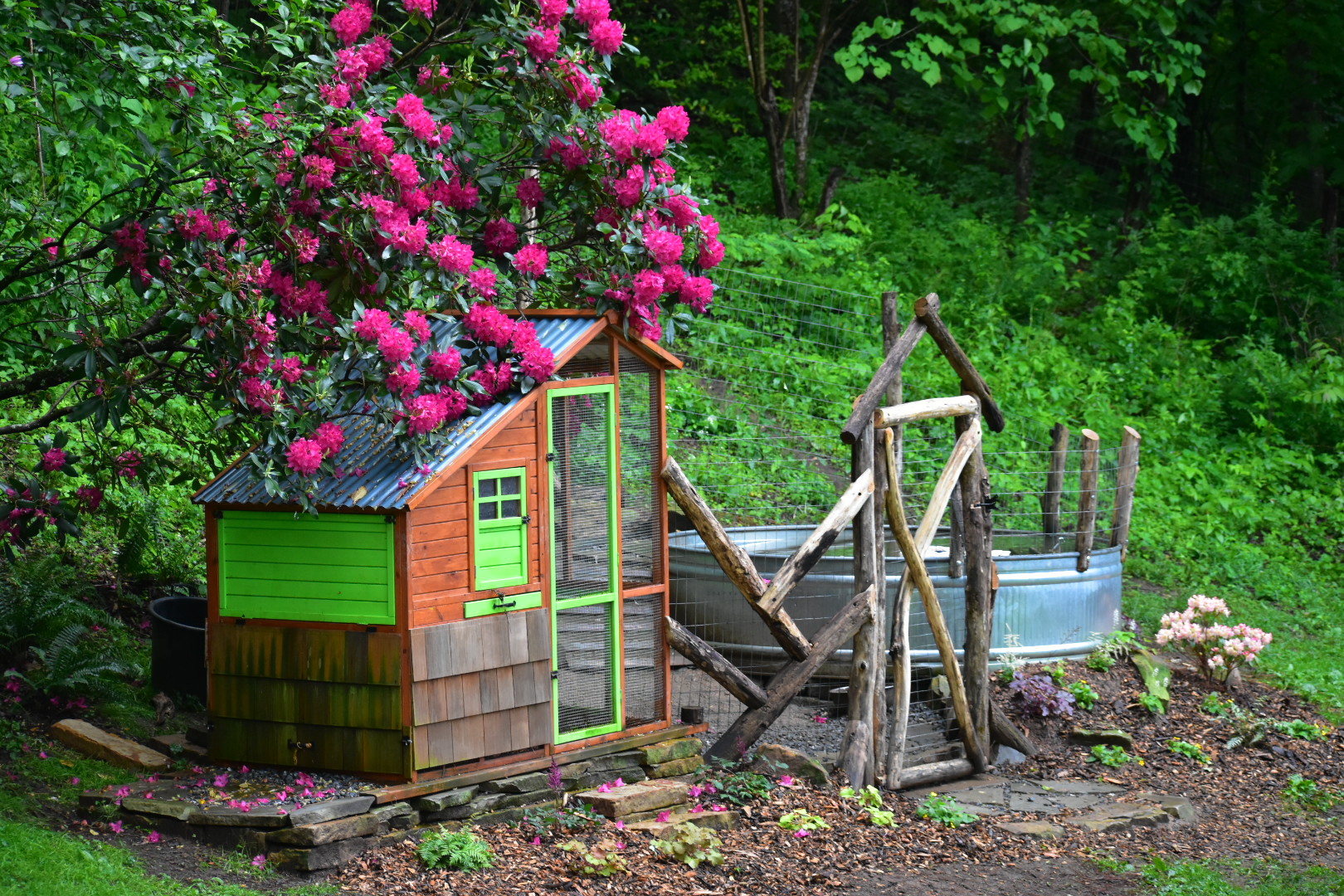 DSC_0304