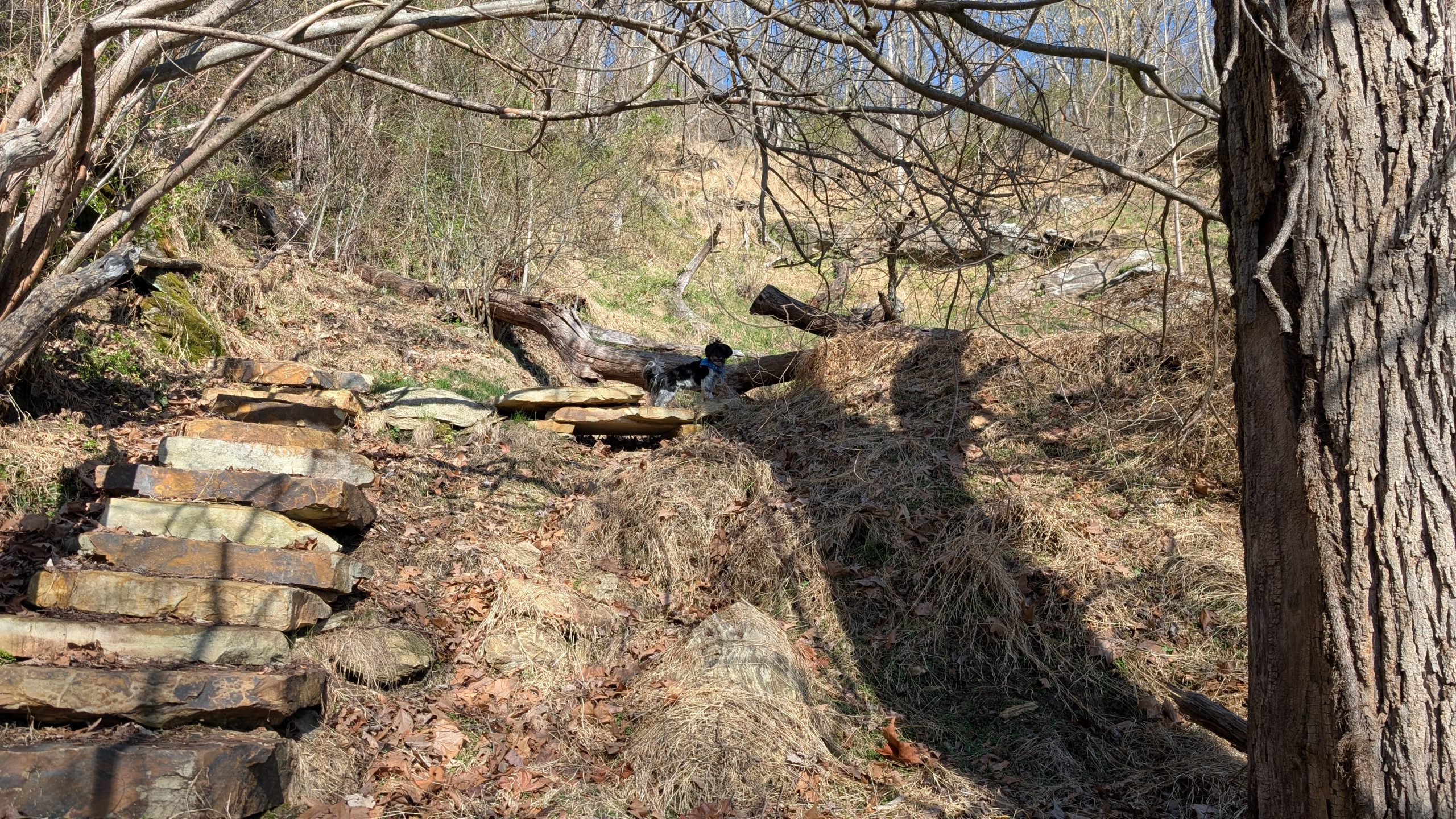 PXL_20260314_143340951