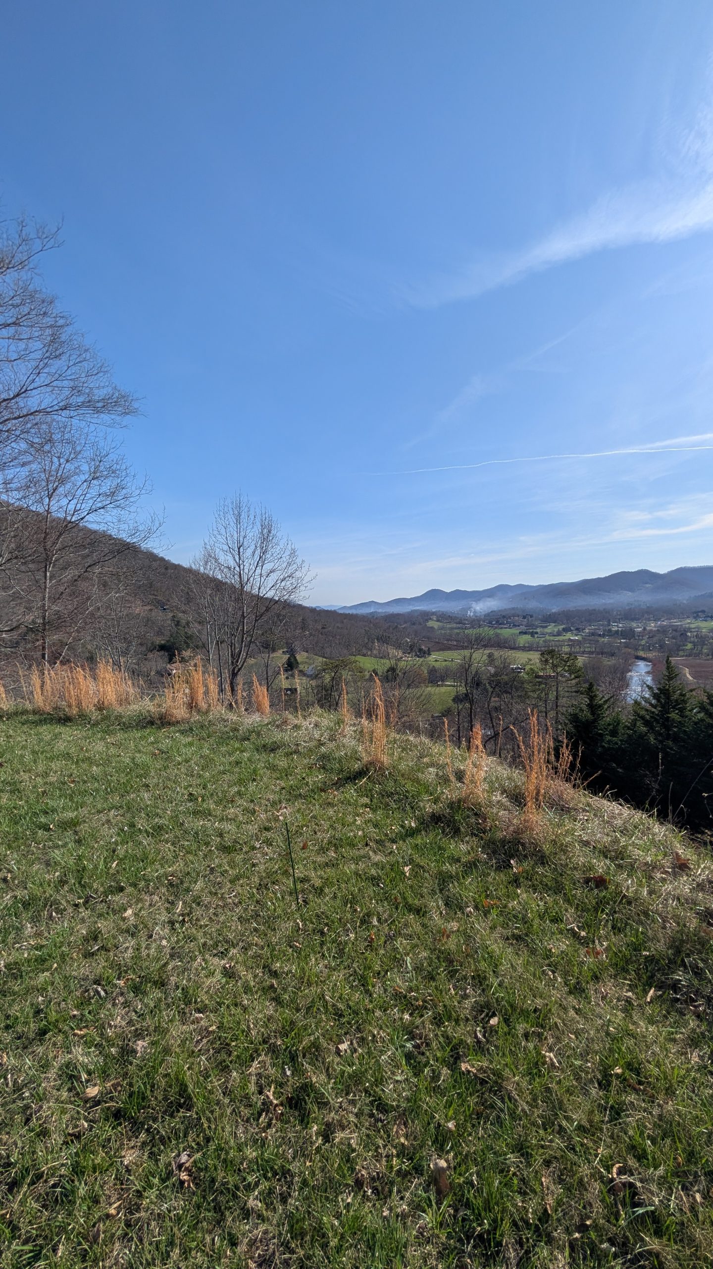 PXL_20260314_143734781